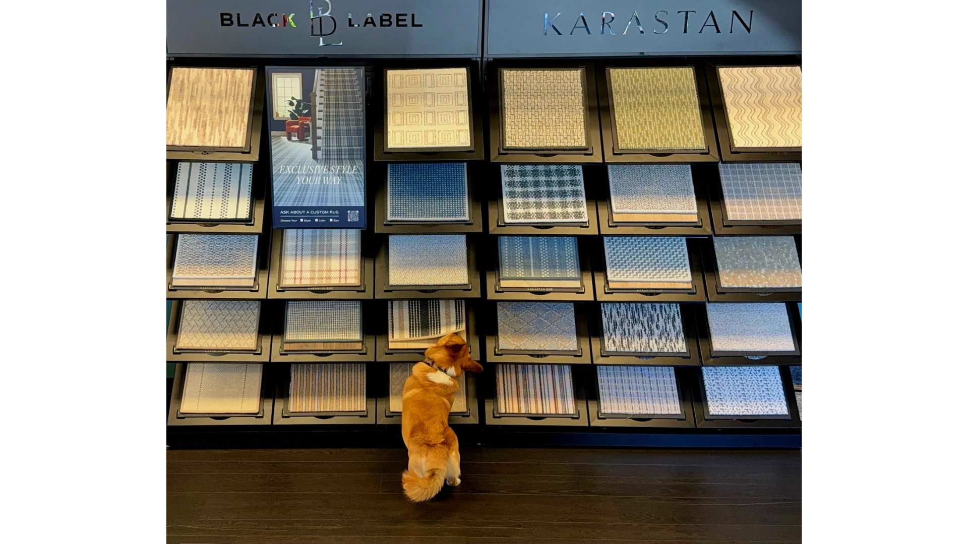 Pet-friendly carpet flooring in flooring showroom in Eugene, Oregon